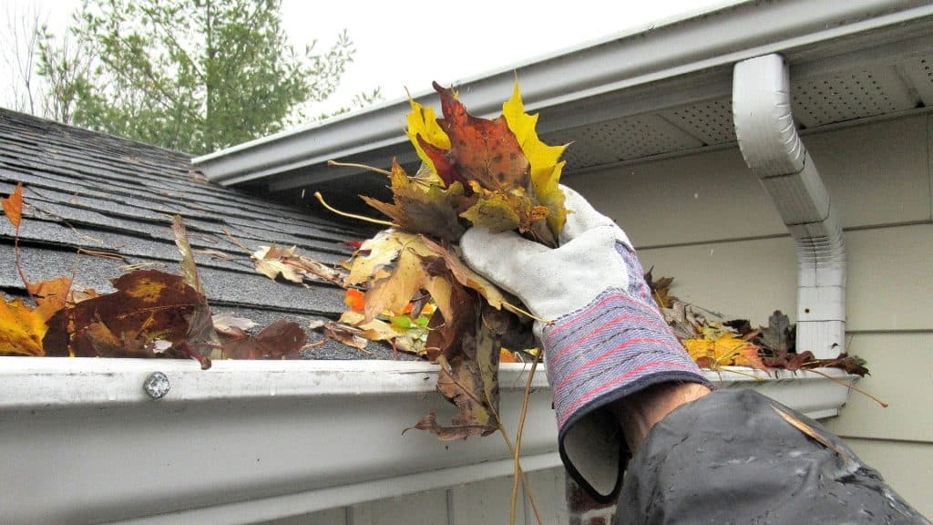 Gutter Cleaning Services Company