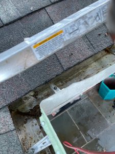 Gutter Repair Newton MA
