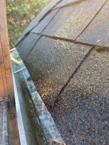 7-Dec 15 2020 01_21pm-8kxj